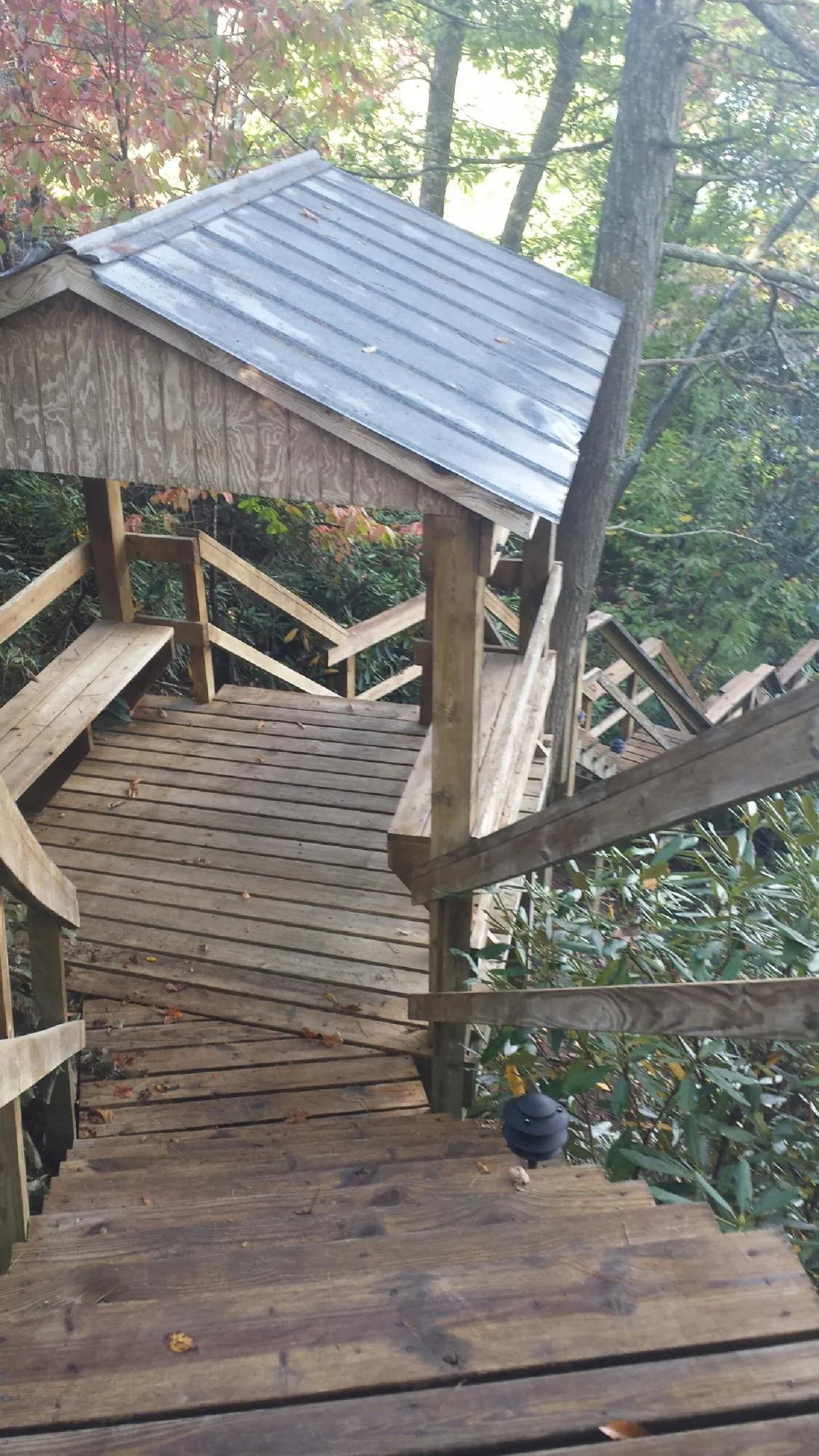 Metal roofed shelter over wooden steps on a wooded walkway — Skylight Repair & Installation work by our crew in Blachly