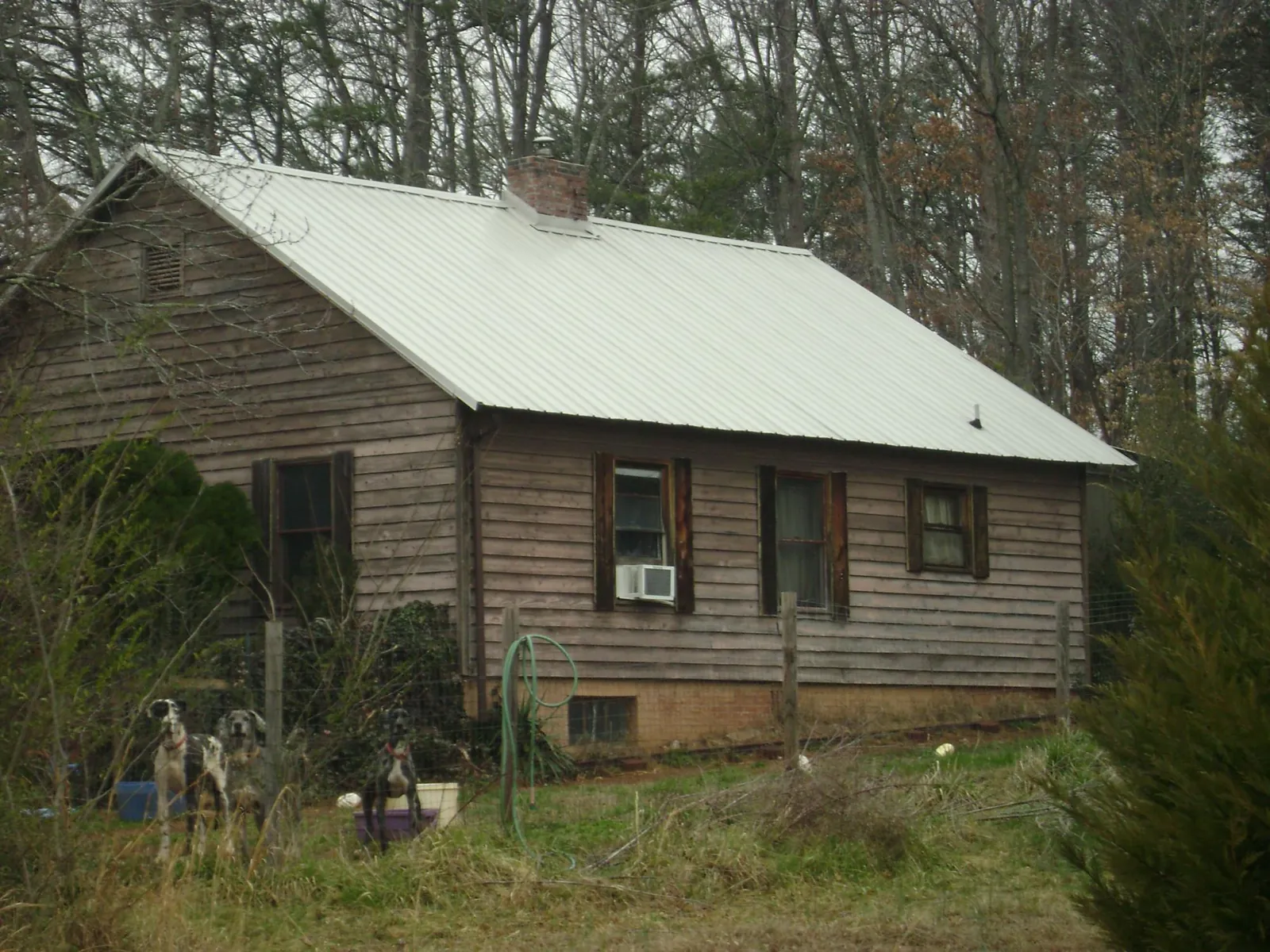 White metal roof on an old wood sided farmhouse, from a Metal Roof Installation job in Blachly